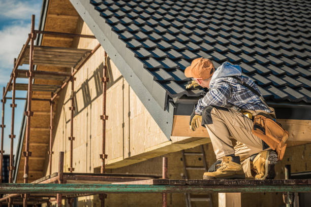 Best Roof Repair Services  in Denison, TX