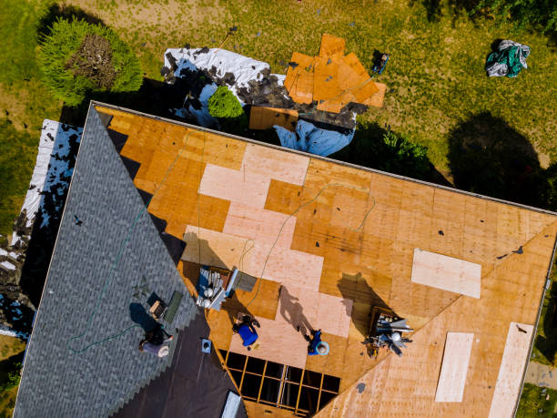 Best Residential Roofing Contractor  in Denison, TX