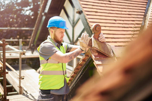 Best Storm Damage Roof Repair  in Denison, TX