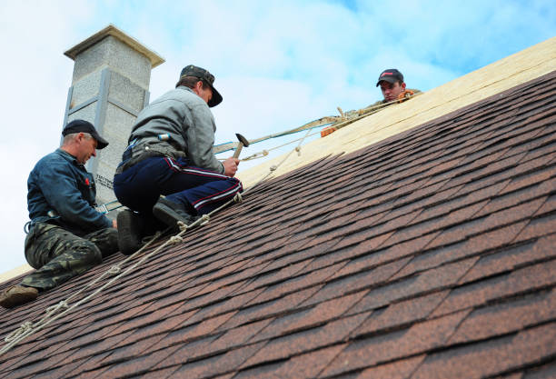 Roof Gutter Cleaning in Denison, TX